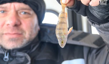 В Павлодаре выбирали лучшего рыбака и шашлычника