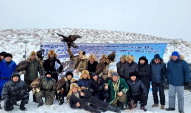 Баянауылда құсбегілер жарысты
