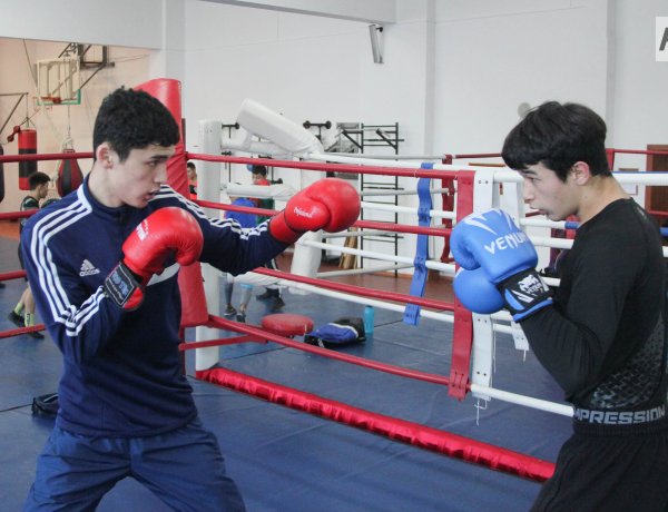 Во всех районах Павлодарской области открыли бесплатные секции бокса для детей