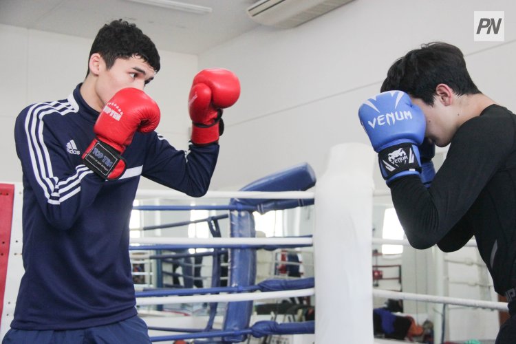 Правительство утвердило Концепцию развития бокса на 2026-2030 годы