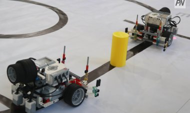 Павлодар облысының бейіндік лагерьлерінде балалар кәсіби бағдар алады