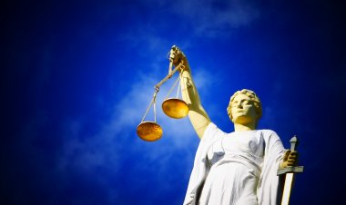 Суд США разобрал дело о донорстве органа