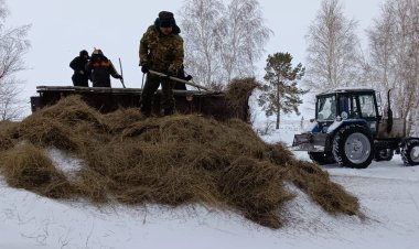 «Ертіс орманында» көктем кезеңіне дайындық басталды