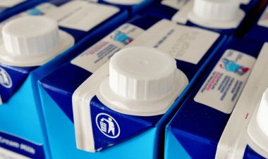 Павлодар облысы сүт бағасы бойынша ТОП-3 өңірге кірді