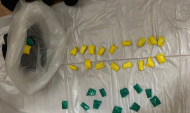 Павлодарда заңсыз есірткі сатқан қос азамат ұсталды