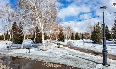 15 марта в Павлодарской области будет низовая метель