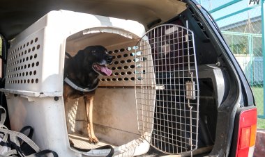 Павлодарские полицейские провели рейд по студенческим общежитиям