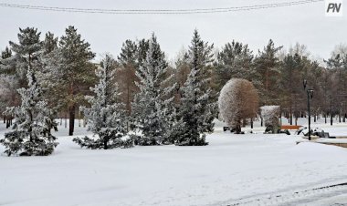 Павлодар облысында қыстың соңғы аптасы қандай болмақ?