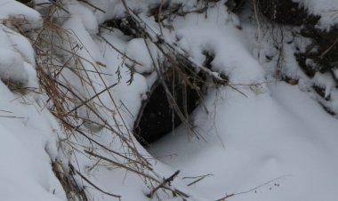 Павлодарлықтарды су тасқыны мәселесі алаңдатуда