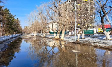 Небольшой дождь ожидают в Павлодарской области 15 апреля