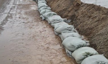 Павлодар облысында су басу фактілерін анықтау үшін аулалар мен жертөлелер тексерілуде