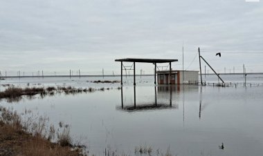 Павлодар облысының ТЖД басшылығы: Көрші облыстардан су келу қаупі бар