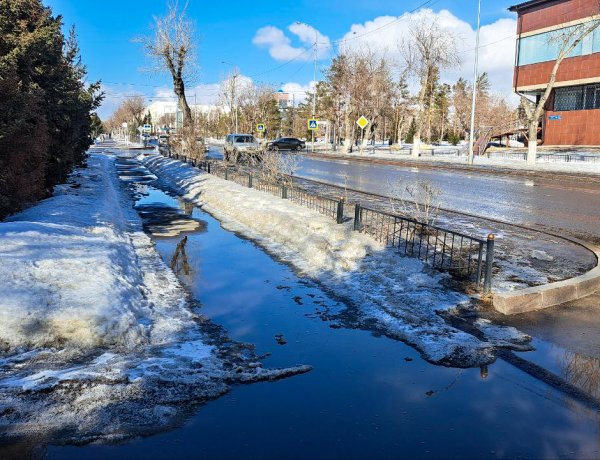 2 наурызда Павлодар облысында аздаған қар жауады