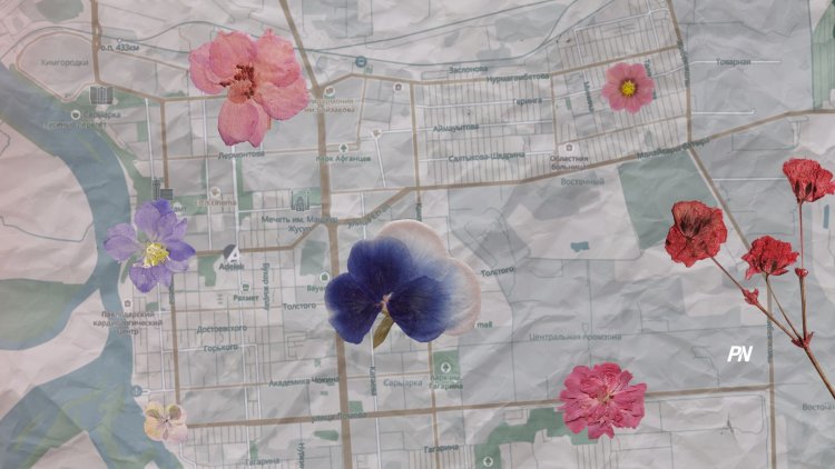 Тепловая карта: где находятся самые «цветочные» районы Павлодара