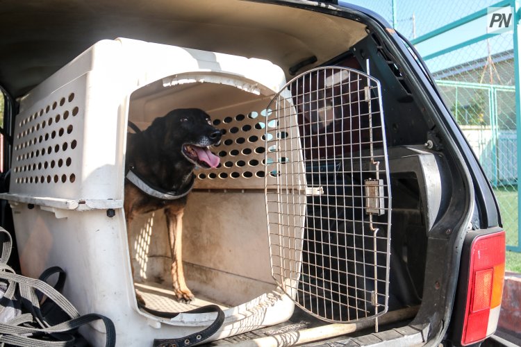 Павлодарские полицейские провели рейд по студенческим общежитиям