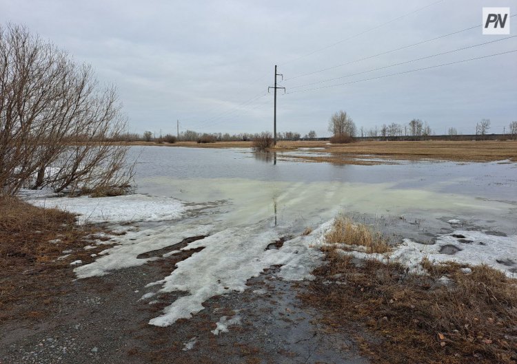 Павлодарские эпидемиологи проверили качество воды в Актогайском районе