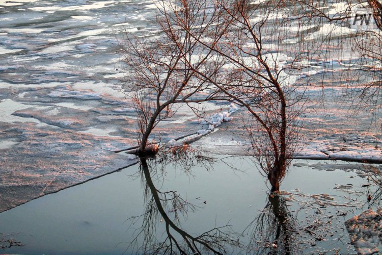 Талые воды откачивают в селах Павлодарской области