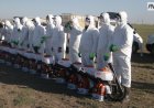 Шыбын-шіркейге қарсы дезинсекция кезінде павлодарлықтар нені ескеруі керек
