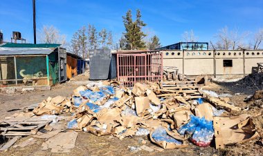 На антисанитарию рядом с приютом пожаловались павлодарцы