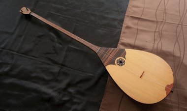 Павлодарские музыканты заняли шесть призовых мест на престижном конкурсе