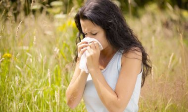 Павлодарцев научат беречься от аллергии