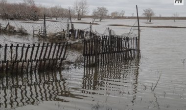 Сколько жилых домов в Павлодарской области в зоне риска паводков