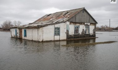 Павлодар облысындағы су тасқынынан келтірілген шығынды қалай өтеп алуға болады