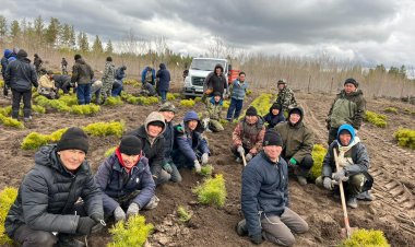 Павлодар облысы резерватында көшеттерді отырғызуға дайындалуда