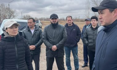 Мәжіліс депутаты Павлодар облысының екі ауылын аралап шықты