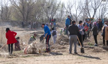 Павлодарда облыстық сенбілік ұйымдастырылады