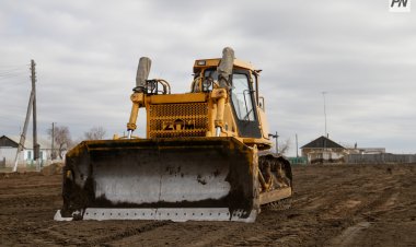 Павлодарец заплатит штраф за выкорчеванное дерево