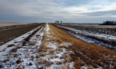 Павлодар облысында топырақтың қатуы байқалуда