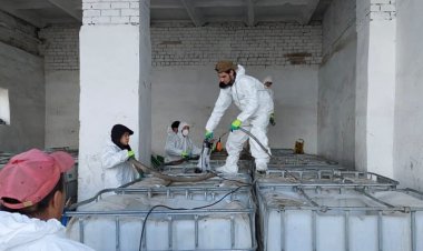 Ақтоғай ауданында қансорғыш жәндіктермен күресу басталды