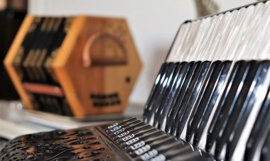 Павлодарские школьники сыграют на баяне и аккордеоне