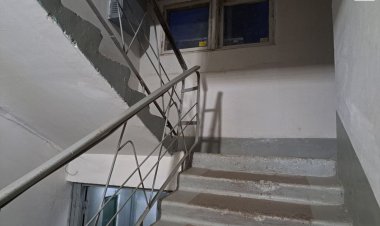 Павлодарлық әйел үйдің кіреберісінде дәретке отырды