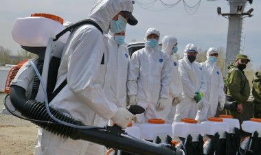 В Павлодарской области откорректировали борьбу с комарами