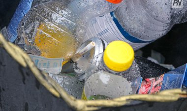 В Экибастузе организуют эко-день