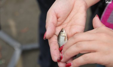 В Павлодарской области предложили увеличить объемы зарыбления водоемов