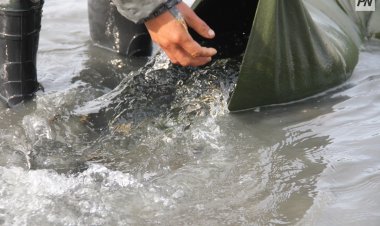 На «крючок» полицейских попались 12 рыбаков из Аксу