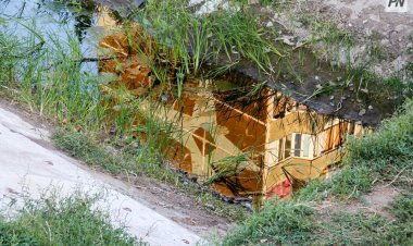 Павлодар облысында 29 қазанда тұман мен көктайғақ күтілуде