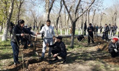 Екібастұздықтар саябақта ағаш отырғызды
