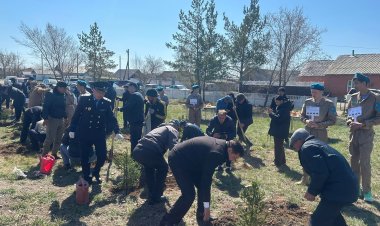 Ақтоғайда Ауғанстаннан әскер шығарылғанына 35 жыл толуына орай көшеттер егілді