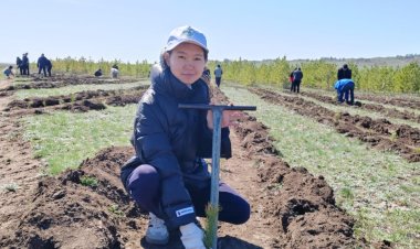 Баянаульский район станет еще зеленее