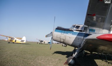 Шыбын-шіркей: Павлодар облысында қандай аумақтар өңделеді?