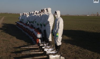Павлодарцев предупредили о небезопасной прогулке