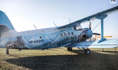 В Баянаульском районе продолжили бороться с саранчой