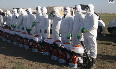 Павлодар облысында 200 мың литрден астам шыбын-шіркейге қарсы биопрепарат дайындалды