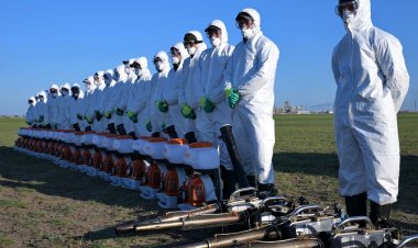 Комарам в Павлодарской области будет сложнее спрятаться