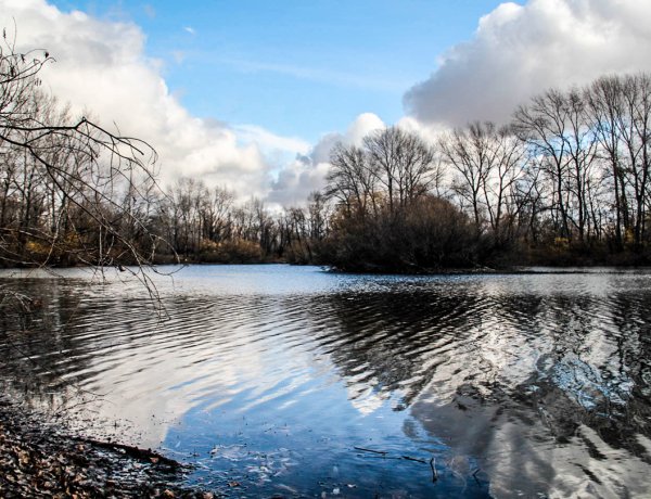 22 наурыз – Бүкіләлемдік су ресурстарын қорғау күні