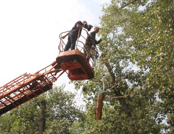 Павлодарда инфрақұрылым элементтерін жаңарту жұмыстары қарқын алды